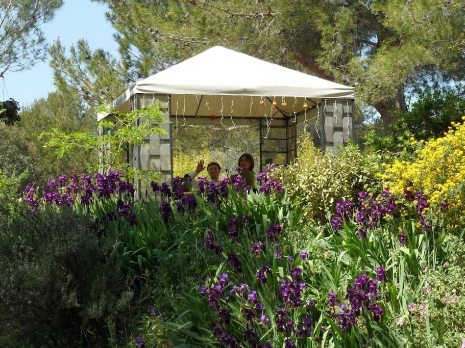 L'Oliveraie En Provence Lambesc Exteriör bild